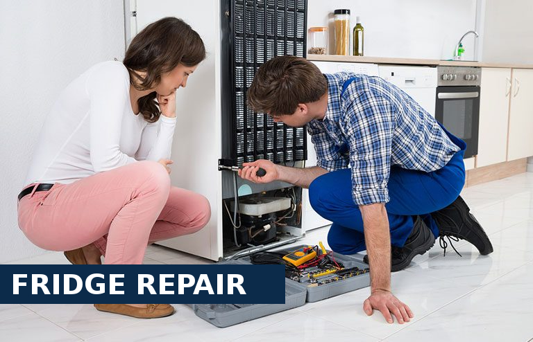 Fridge Repair Streatham Hill